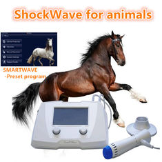 Ветеринарное Экине оборудование машины ударной волны для цвета белизны собак/лошадей