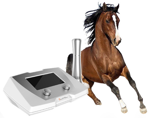 Машина терапией ударной волны высокой энергии ветеринарная для скаковой лошади