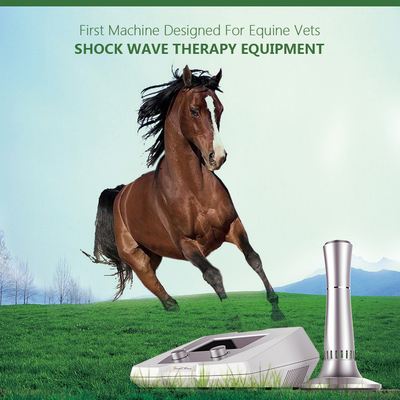 1 - Ударная волна БС-СВТ2С оборудования терапией 22 Хз ветеринарная медицинская для ушиба сухожилия