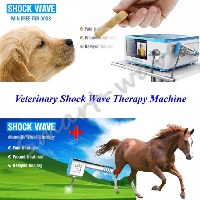 Терапия ударной волны радиальной физиотерапии ударной волны ударной волны небольшой животной ветеринарная для обработки лошади
