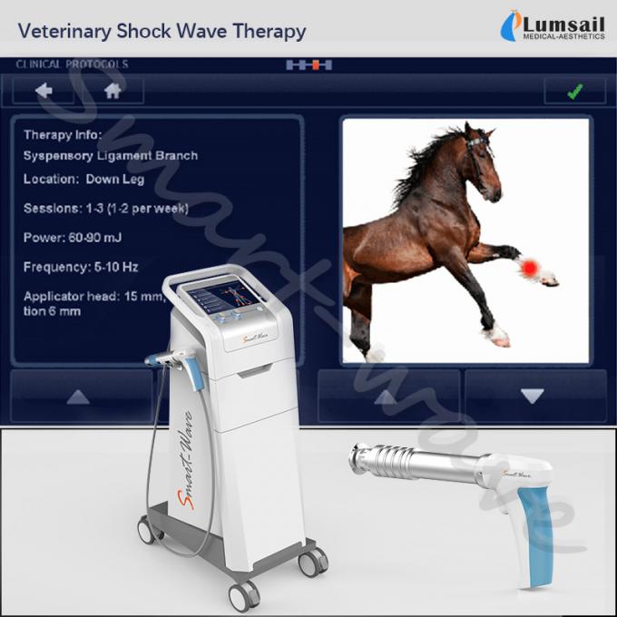 Любимцы физиотерапии ветеринарные небольшие используют внекорпусную машину ударной волны лошади терапией ударной волны Экине