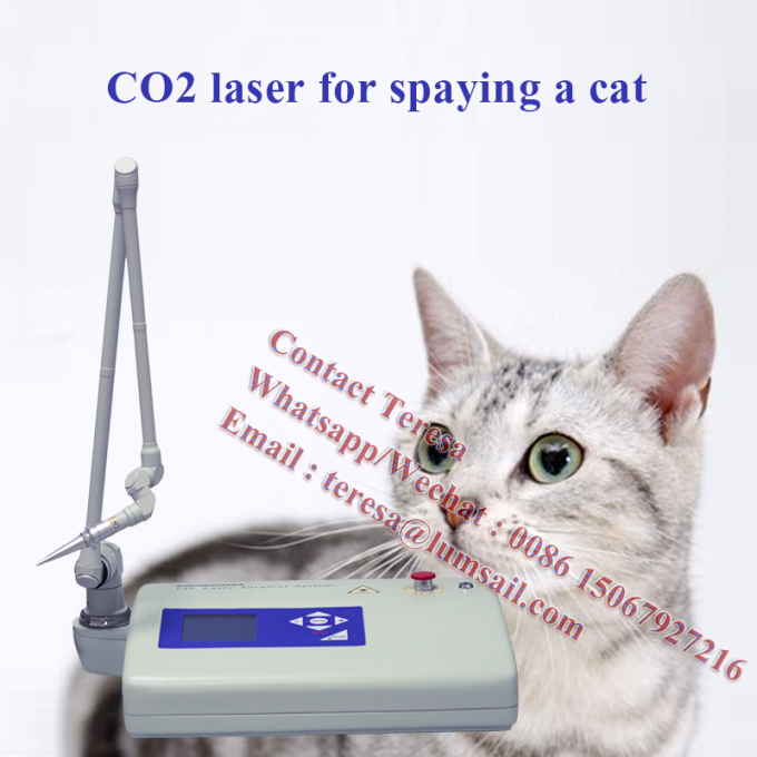 Портативный хирургический ветеринарный лазер СО2 технологии 15W