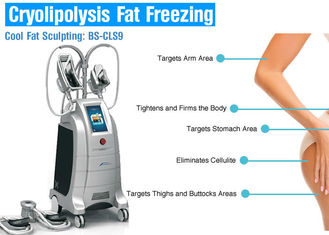 Тело Крйолиполысис 4 ручек жирное замерзая уменьшая машину для уменьшения потери/целлюлита веса