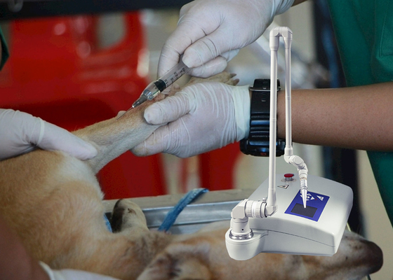 Машина лазера ветеринарного СО2 медицинского инструмента частичная для собак/больницы для животных