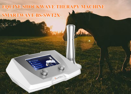 Хз частоты машины 1 до 22 терапией ударной волны лошади клиники для заболевания лигамента Суспенсоры